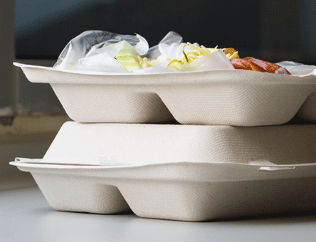 Compostable and environmentally biodegradable food packaging