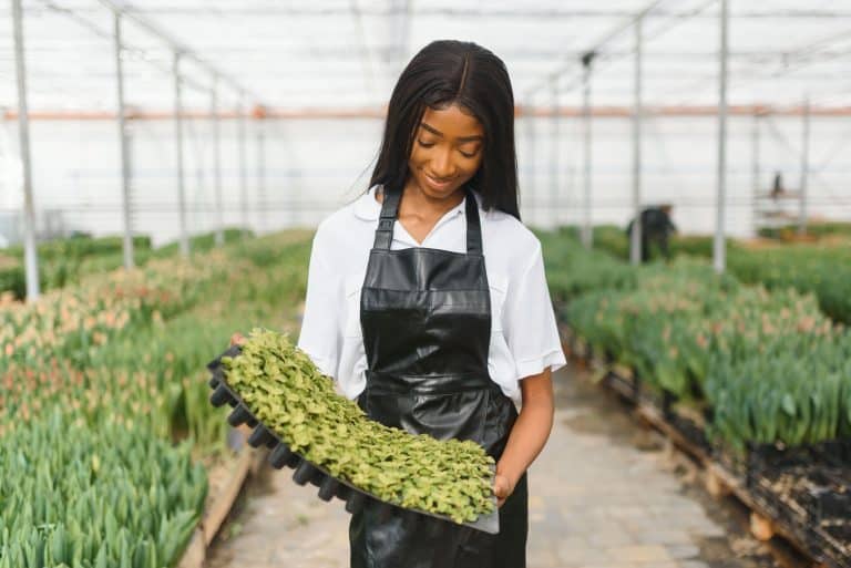 Plastics Europe’s position on Recycled Content for plastics packaging