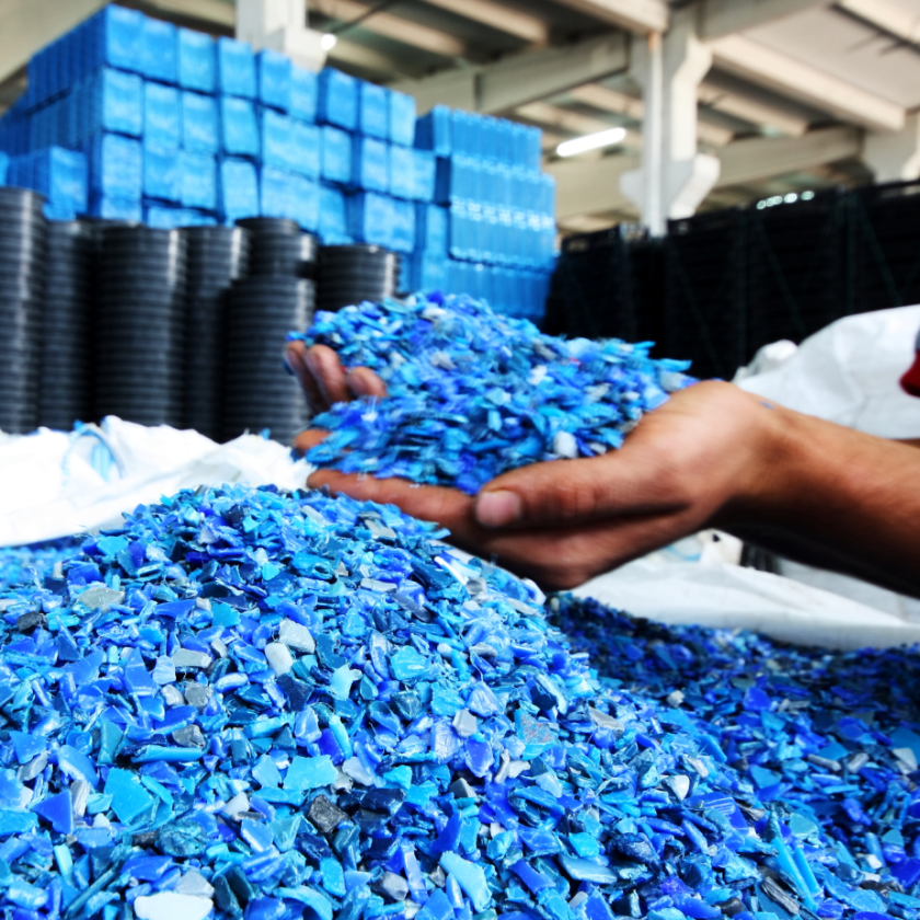 on the Packaging and Packaging Waste Regulation (PPWR